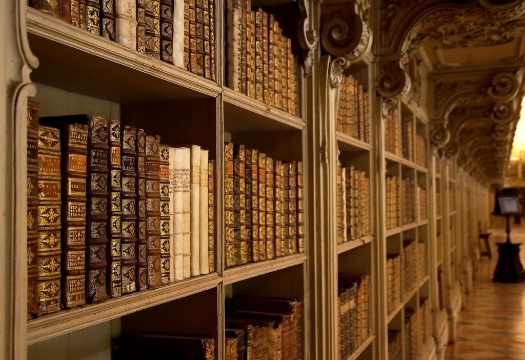 palacio nacional de mafra, library, books-5118010.jpg